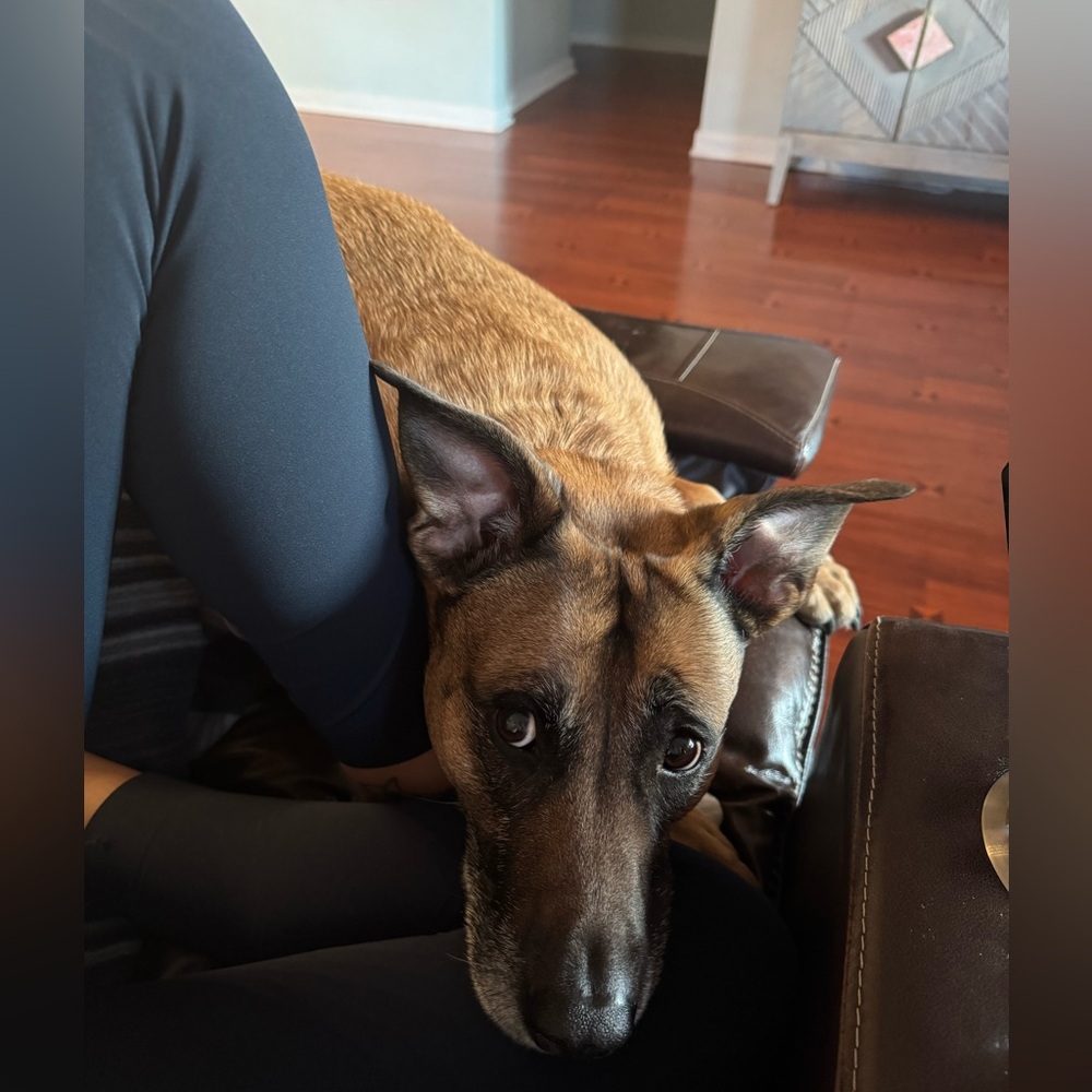 Meet your Posher, Alana